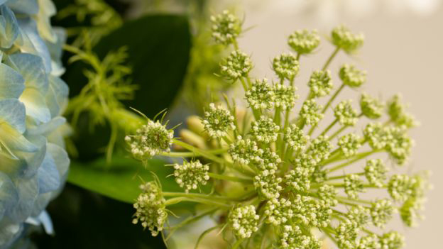 The Importance of Customer Service in Flower Shop Management: Tips for Exceptional Service