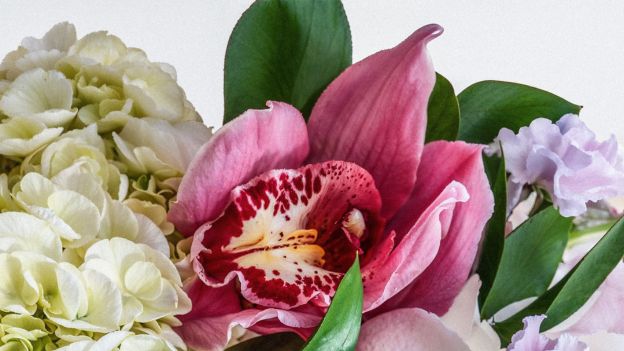 How to Set Up the Perfect Flower Shop Ambiance: Design, Display, and Lighting Tips